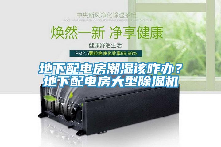 地下配電房潮濕該咋辦？地下配電房大型除濕機