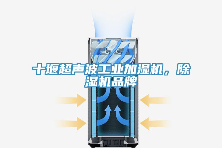 十堰超聲波工業(yè)加濕機，除濕機品牌
