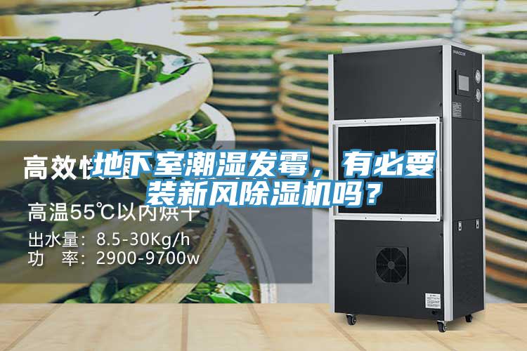 地下室潮濕發(fā)霉，有必要裝新風(fēng)除濕機(jī)嗎？