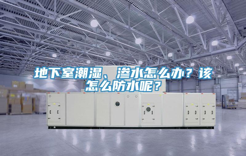 地下室潮濕、滲水怎么辦？該怎么防水呢？