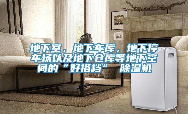 地下室，地下車庫(kù)，地下停車場(chǎng)以及地下倉(cāng)庫(kù)等地下空間的“好搭檔” 除濕機(jī)