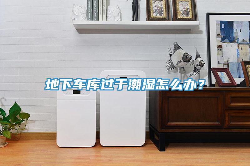 地下車庫過于潮濕怎么辦？