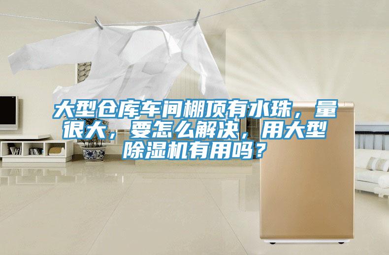 大型倉庫車間棚頂有水珠，量很大，要怎么解決，用大型除濕機有用嗎？