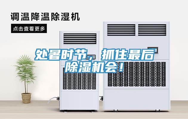 處暑時節(jié)，抓住最后除濕機會！