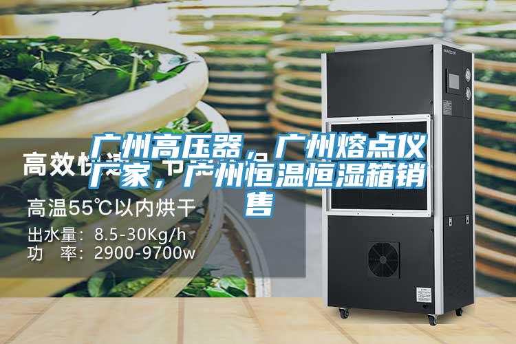 廣州高壓器，廣州熔點儀廠家，廣州恒溫恒濕箱銷售