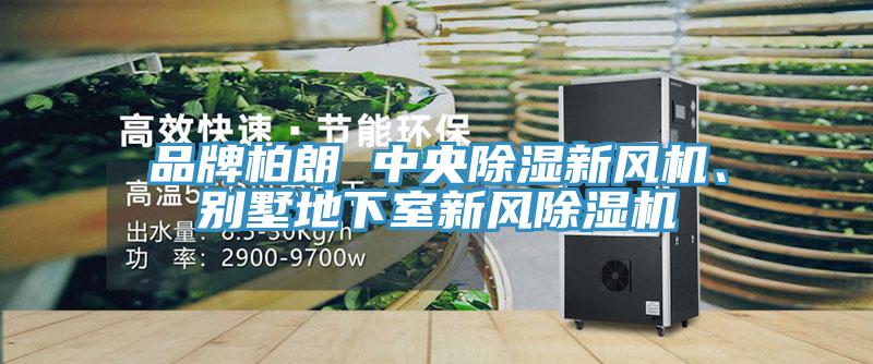品牌柏朗 中央除濕新風(fēng)機(jī)、別墅地下室新風(fēng)除濕機(jī)