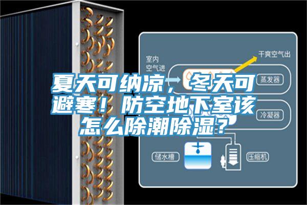 夏天可納涼，冬天可避寒！防空地下室該怎么除潮除濕？