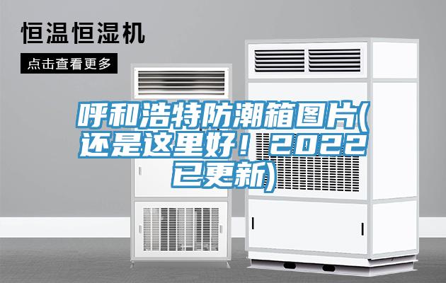 呼和浩特防潮箱圖片(還是這里好！2022已更新)