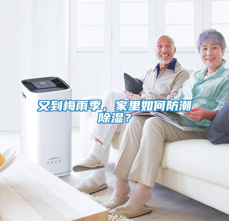 又到梅雨季，家里如何防潮除濕？