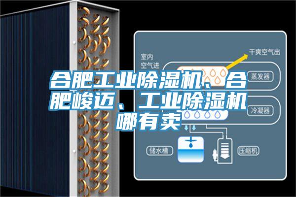 合肥工業(yè)除濕機、合肥峻邁、工業(yè)除濕機哪有賣