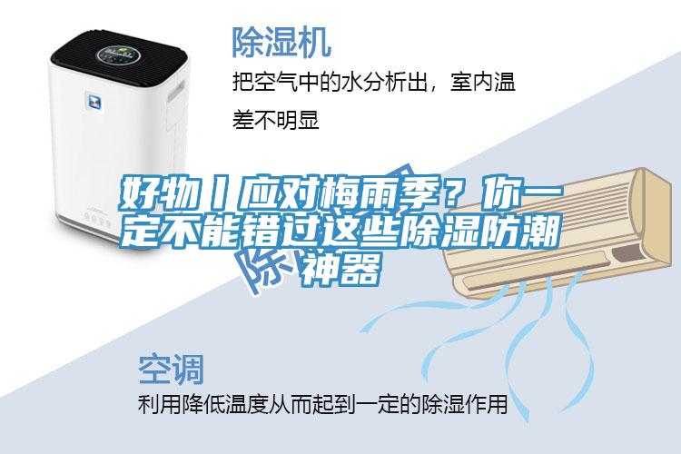 好物丨應對梅雨季？你一定不能錯過這些除濕防潮神器