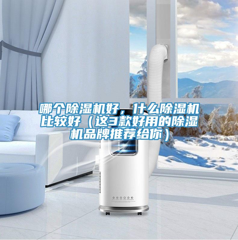 哪個(gè)除濕機(jī)好，什么除濕機(jī)比較好（這3款好用的除濕機(jī)品牌推薦給你）