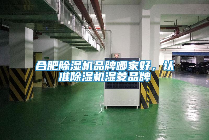 合肥除濕機品牌哪家好，認準除濕機濕菱品牌