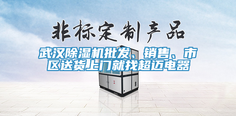 武漢除濕機批發(fā)、銷售、市區(qū)送貨上門就找超邁電器