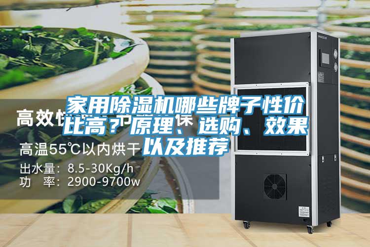 家用除濕機哪些牌子性價比高？原理、選購、效果以及推薦