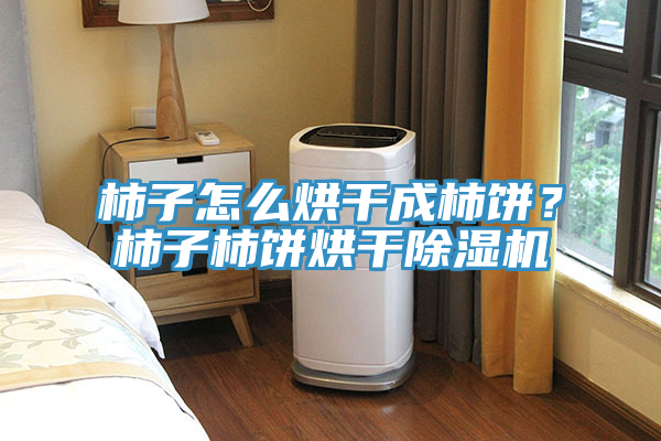 柿子怎么烘干成柿餅？柿子柿餅烘干除濕機(jī)