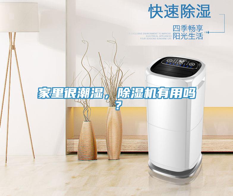 家里很潮濕，除濕機有用嗎？