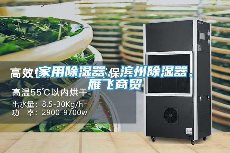 家用除濕器、濱州除濕器、雁飛商貿(mào)