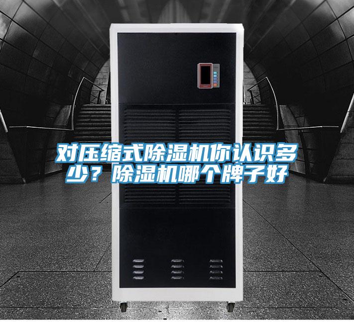 對(duì)壓縮式除濕機(jī)你認(rèn)識(shí)多少？除濕機(jī)哪個(gè)牌子好