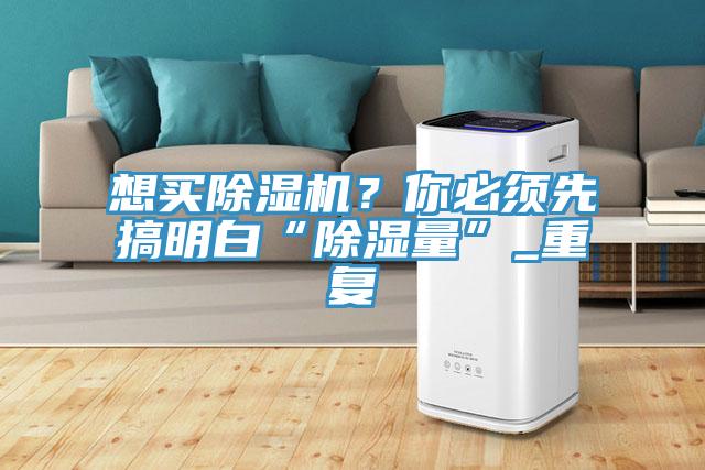 想買(mǎi)除濕機(jī)？你必須先搞明白“除濕量”_重復(fù)