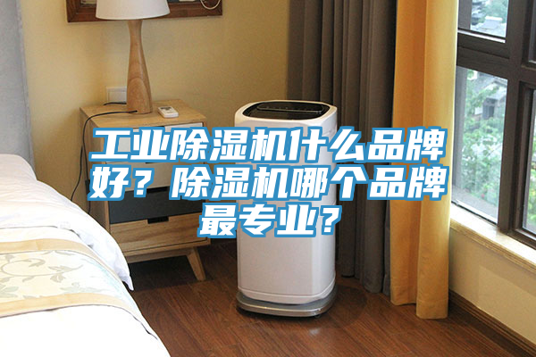 工業(yè)除濕機什么品牌好？除濕機哪個品牌最專業(yè)？