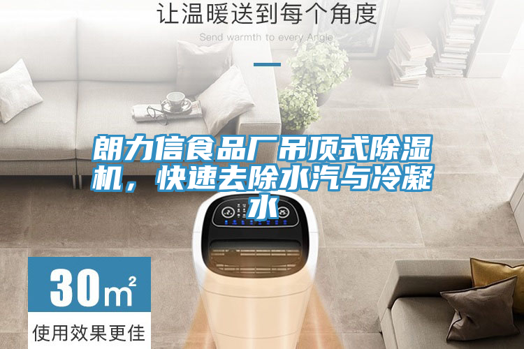 朗力信食品廠吊頂式除濕機，快速去除水汽與冷凝水