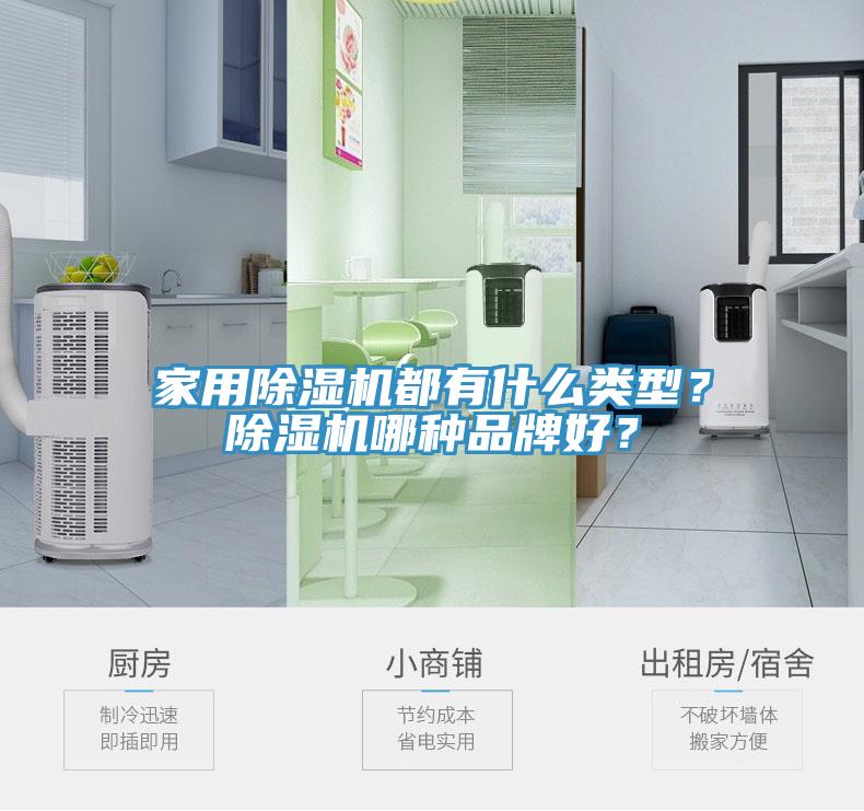 家用除濕機(jī)都有什么類(lèi)型？除濕機(jī)哪種品牌好？