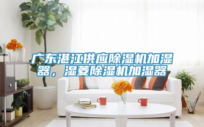 廣東湛江供應(yīng)除濕機加濕器，濕菱除濕機加濕器