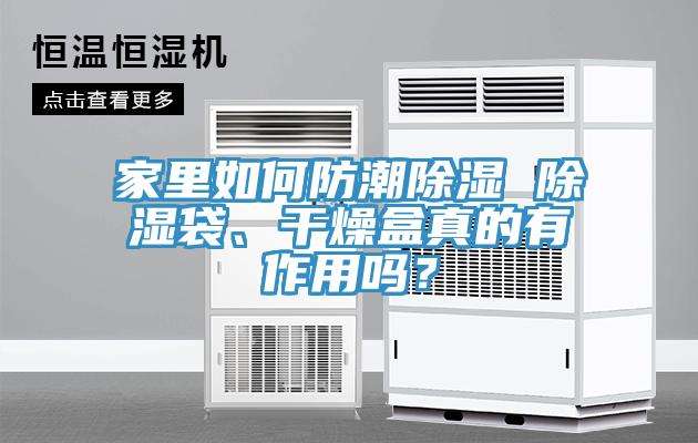 家里如何防潮除濕 除濕袋、干燥盒真的有作用嗎？