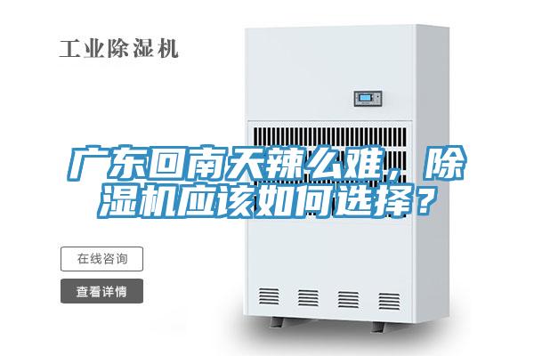 廣東回南天辣么難，除濕機應該如何選擇？
