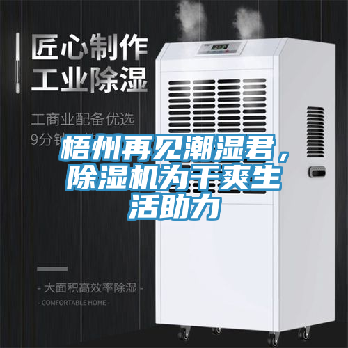 梧州再見潮濕君，除濕機(jī)為干爽生活助力