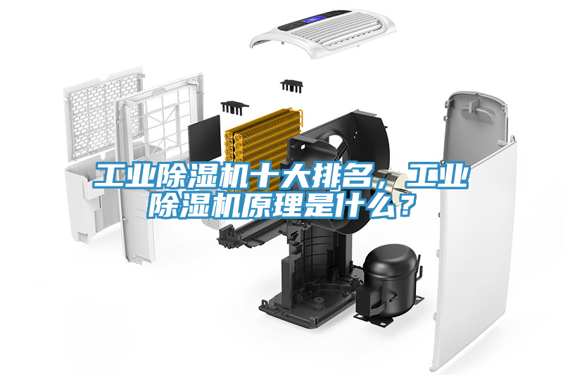 工業(yè)除濕機十大排名，工業(yè)除濕機原理是什么？
