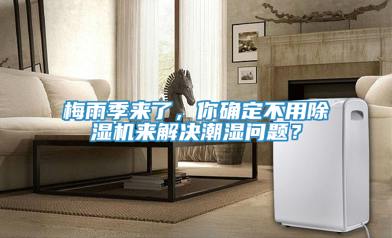 梅雨季來了，你確定不用除濕機來解決潮濕問題？