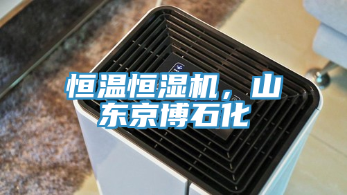 恒溫恒濕機(jī)，山東京博石化
