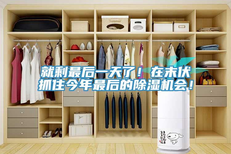 就剩最后一天了！在末伏抓住今年最后的除濕機(jī)會(huì)！