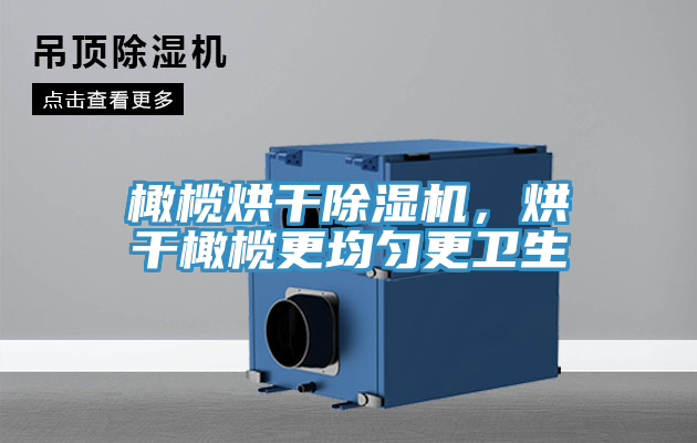 橄欖烘干除濕機(jī)，烘干橄欖更均勻更衛(wèi)生