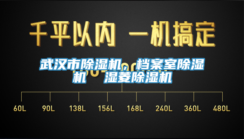 武漢市除濕機，檔案室除濕機  濕菱除濕機