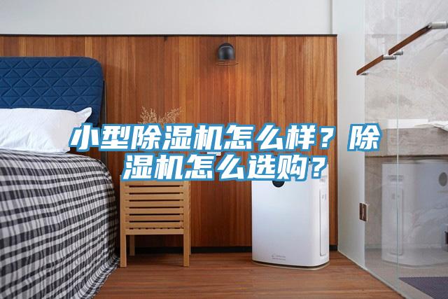 小型除濕機(jī)怎么樣？除濕機(jī)怎么選購(gòu)？
