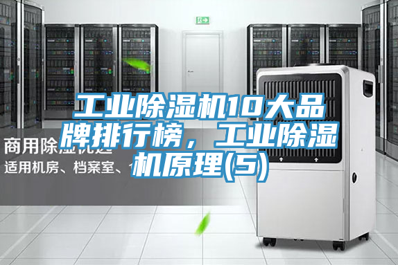 工業(yè)除濕機10大品牌排行榜，工業(yè)除濕機原理(5)