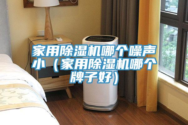 家用除濕機(jī)哪個(gè)噪聲?。矣贸凉駲C(jī)哪個(gè)牌子好）