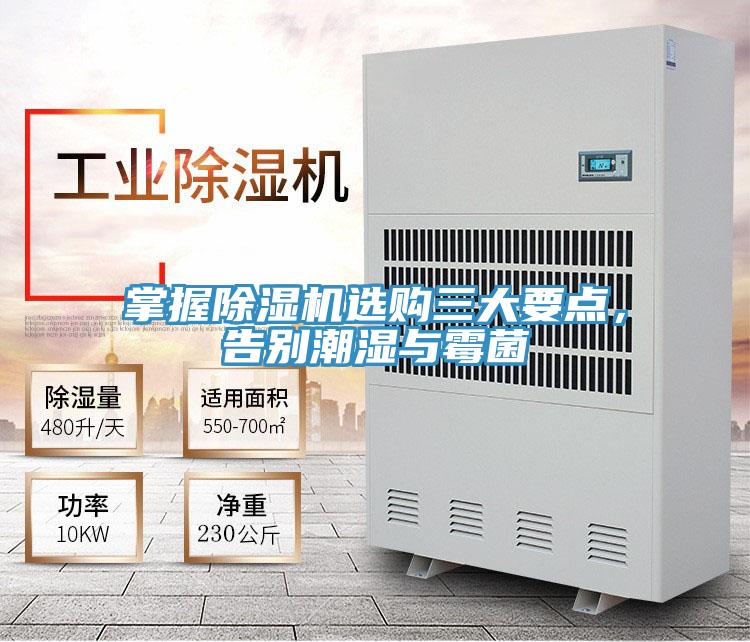 掌握除濕機選購三大要點，告別潮濕與霉菌