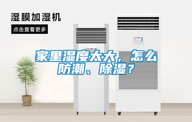 家里濕度太大，怎么防潮、除濕？