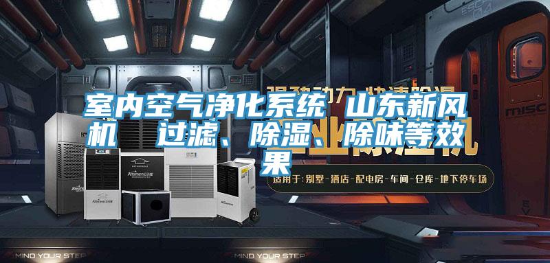 室內(nèi)空氣凈化系統(tǒng) 山東新風機  過濾、除濕、除味等效果
