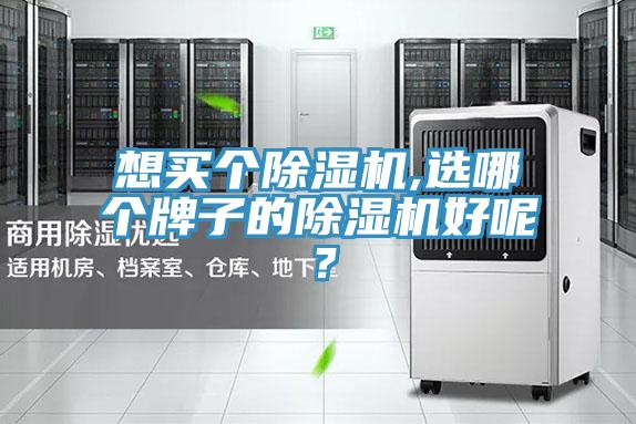 想買(mǎi)個(gè)除濕機(jī),選哪個(gè)牌子的除濕機(jī)好呢？