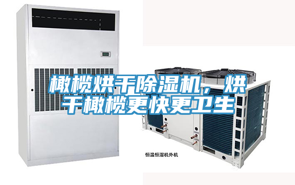 橄欖烘干除濕機(jī)，烘干橄欖更快更衛(wèi)生