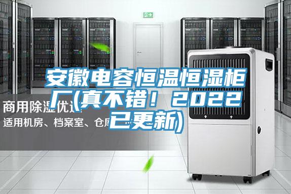 安徽電容恒溫恒濕柜廠(真不錯！2022已更新)