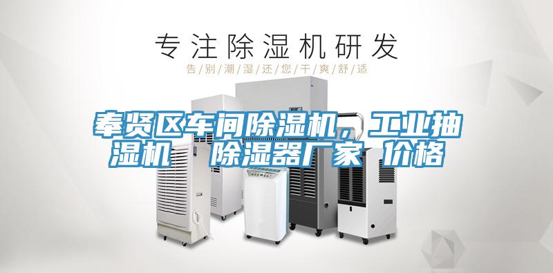 奉賢區(qū)車(chē)間除濕機(jī)，工業(yè)抽濕機(jī)  除濕器廠(chǎng)家 價(jià)格