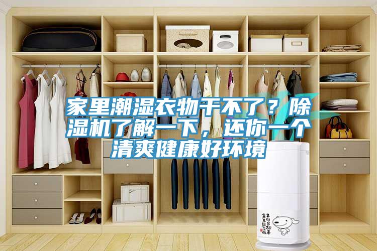 家里潮濕衣物干不了？除濕機(jī)了解一下，還你一個(gè)清爽健康好環(huán)境