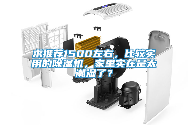 求推薦1500左右，比較實(shí)用的除濕機(jī)，家里實(shí)在是太潮濕了？