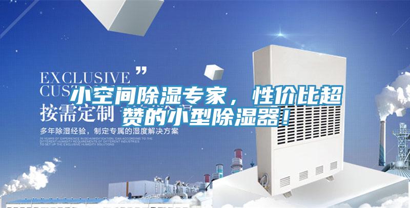 小空間除濕專家，性價比超贊的小型除濕器！